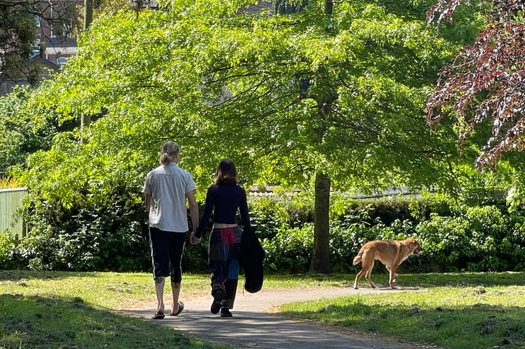 Offenders who refused to put their dog on a lead and keep it under control in Newcombes Meadow today, Saturday, May 27.  AQ 9909