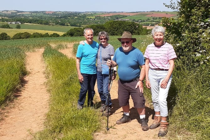 Enjoying the scenery during Crediton Walk and Talk near Posbury.