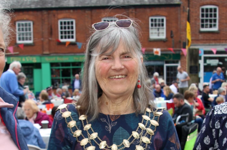 Cllr Liz Brookes-Hocking.  AQ 0723