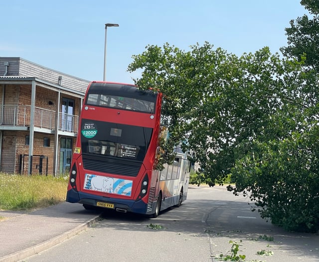 WARNING: Fallen tree warning to motorists near Crediton surgery
