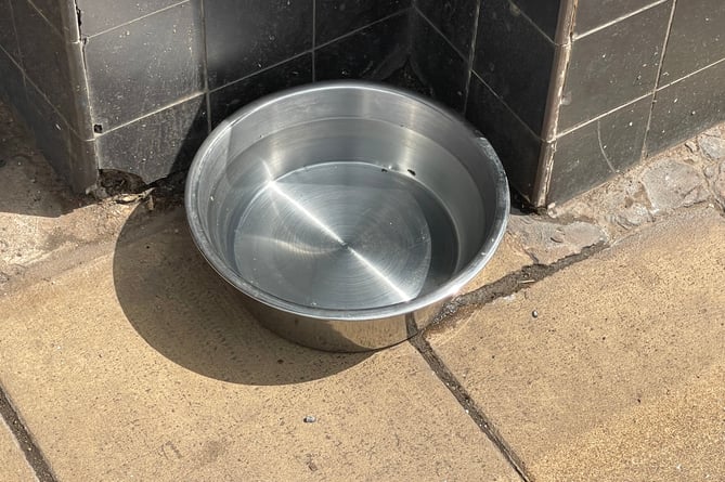 The dog bowl outside Adams Home Hardware.  AQ 1475