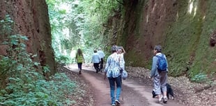 Fine views to Posbury and beyond for Crediton Walk and Talk
