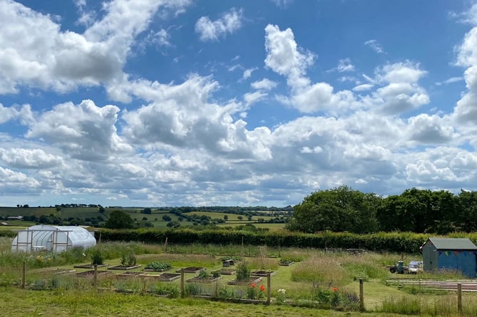 The Growing Well Garden at Bow Surgery.