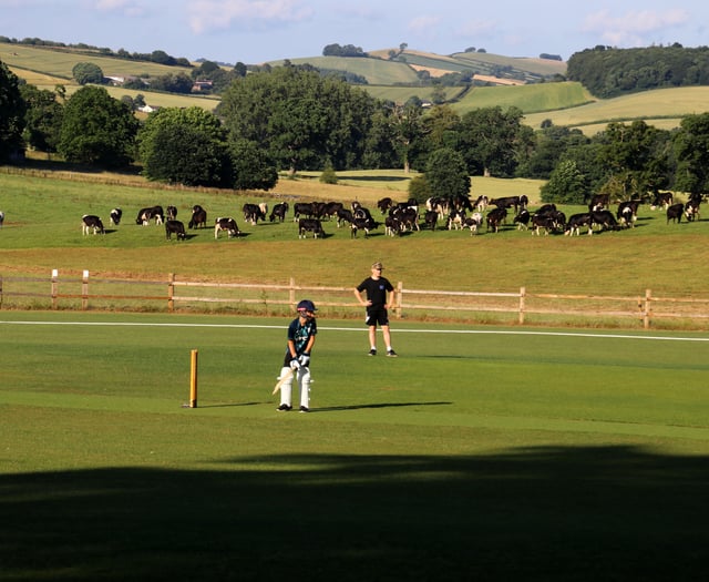 Sandford Cricket Club go top twice!
