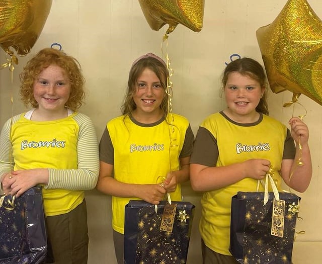 Gold Awards for three Crediton Brownies
