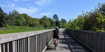 Part of Exe Estuary Trail will close for repairs for three months
