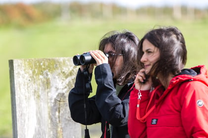 Call for volunteers to help survey 100 miles of North Devon sealife