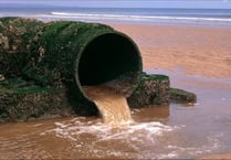South West Water worst in England for sewage pollution since 2011