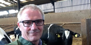 Outstanding Mid Devon vet recognised with prestigious award
