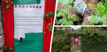 Lewdown postbox blighted by snails eating the mail