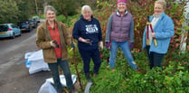 Cheriton Fitzpaine Garden Club
