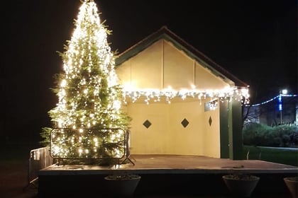 Vandals blasted for attacking Christmas tree 
