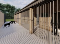 Green light for dog sanctuary plans