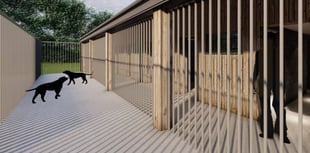 Green light for dog sanctuary plans