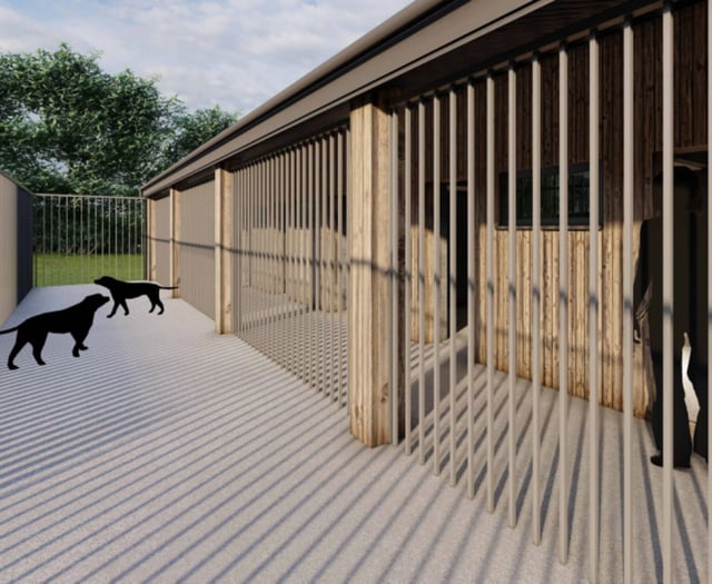 Green light for dog sanctuary plans