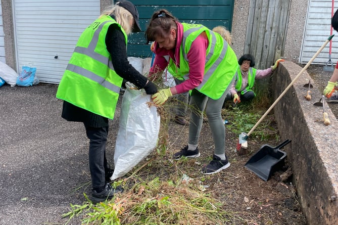 Bagging up weeds as part of the cleaning streets and pavements action.  AQ 5247
