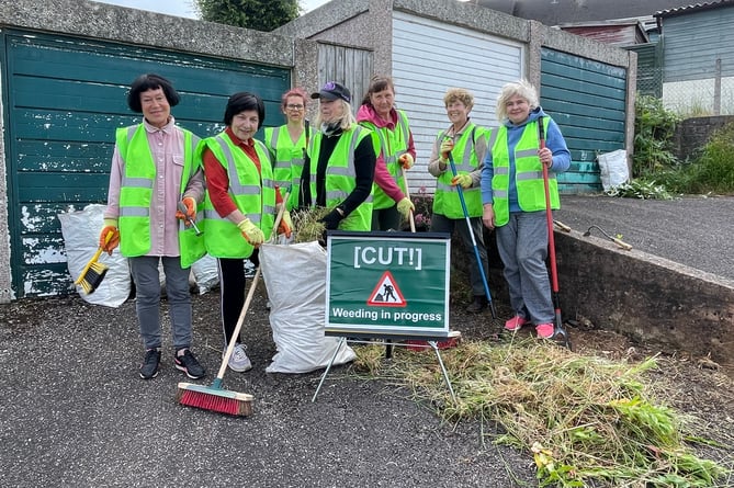 Volunteers who took part in the street and pavement clean in Spruce Park in Crediton on June 15.  AQ 5245
