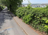 North Tawton petition launched for street lighting to improve safety