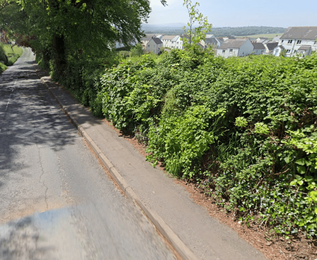 North Tawton petition launched for street lighting to improve safety