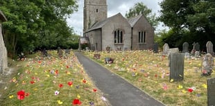 Handmade Wildflower Meadow highlights Mental Health and Wellbeing 
