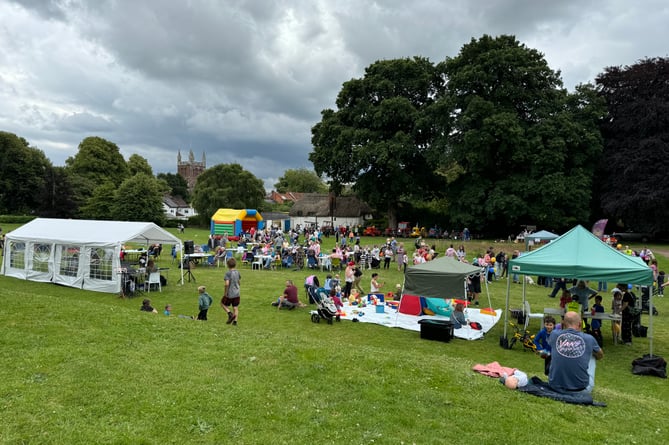 A busy scene at Newcombes Meadow.  AQ 7430