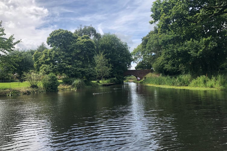 The view from the barge on the Tiverton canal trip enjoyed by Colebrooke WI.
