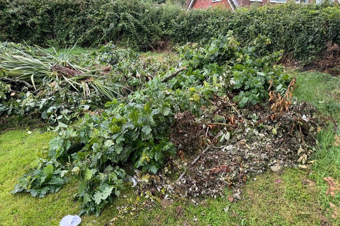 Garden waste tipped at The Rec in Crediton.  AQ 8052