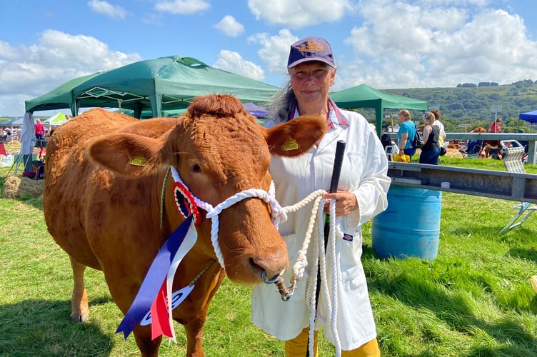 A proud exhibitor in the South Devon classes