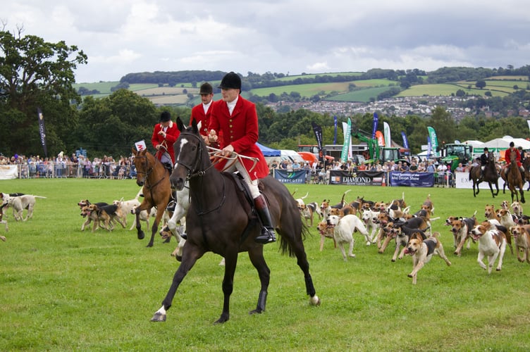 Hunting display in the main ring