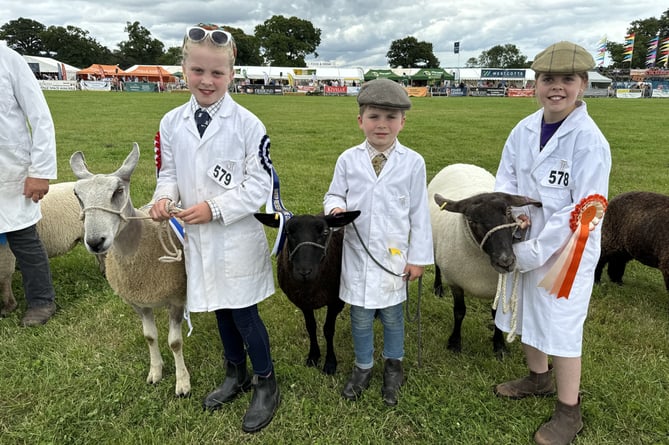 Young exhibitors at the Mid Devon Show.  AQ 8574