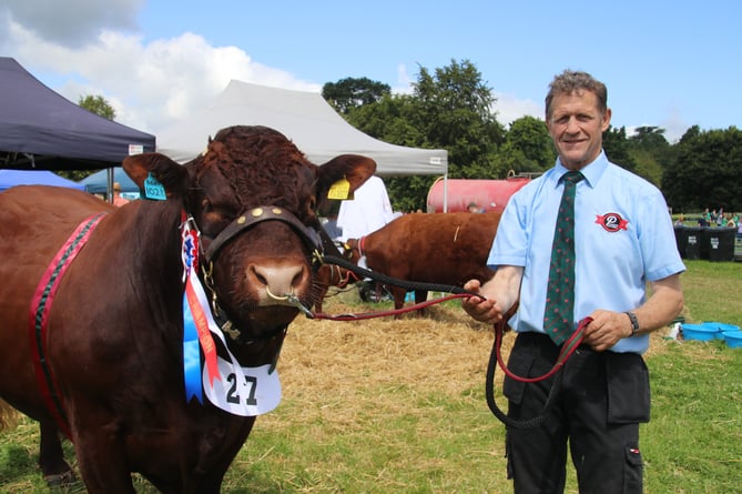 John May of Priorton Barton, Crediton, took the Champion Devon title with two-and-a-half-year-old bull, Priorton Yeoman.  AQ 4776