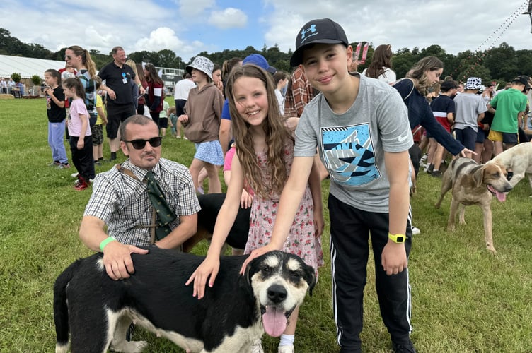 Children and adults alike enjoyed meeting the hounds in the main ring.  AQ 8530