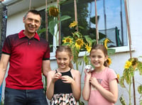 Local man’s sunflowers delight twin granddaughters