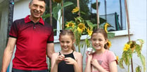 Local man’s sunflowers delight twin granddaughters