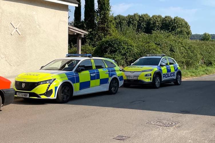 Police cars in the village