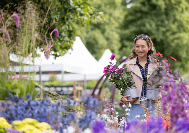 ‘Ultimate summer’s day out’ at RHS Garden Rosemoor Flower Show