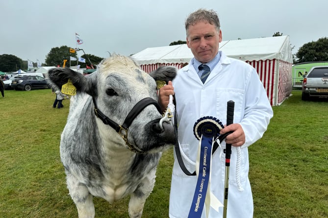 Andrew Luxton with his two-years-old British Blue heifer Highland Blues Spruce which fared well at the Okehampton Show.  AQ 9449
