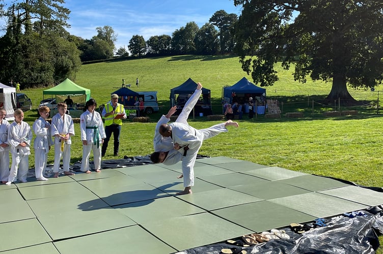 Tedburn St Mary Judo Club demonstration