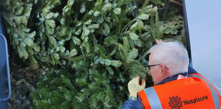 Recycle your Christmas tree and raise money for Hospiscare