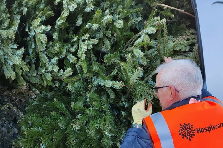 Volunteers will collect and recycle trees in the local area