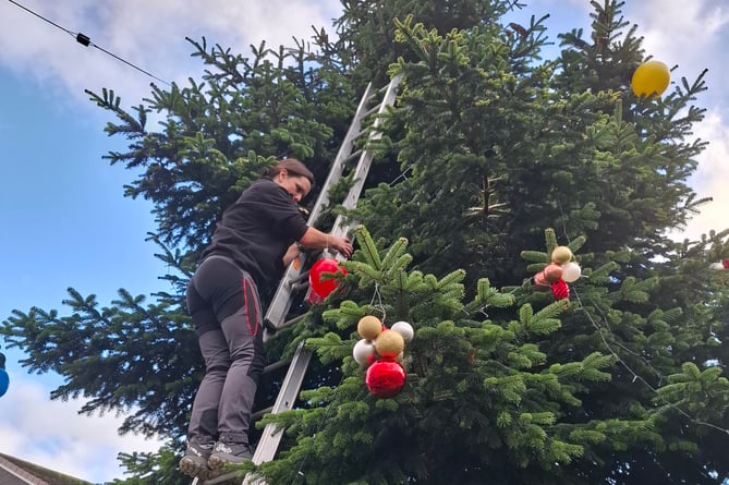 Cassandra putting decorations on the East Street tree. 