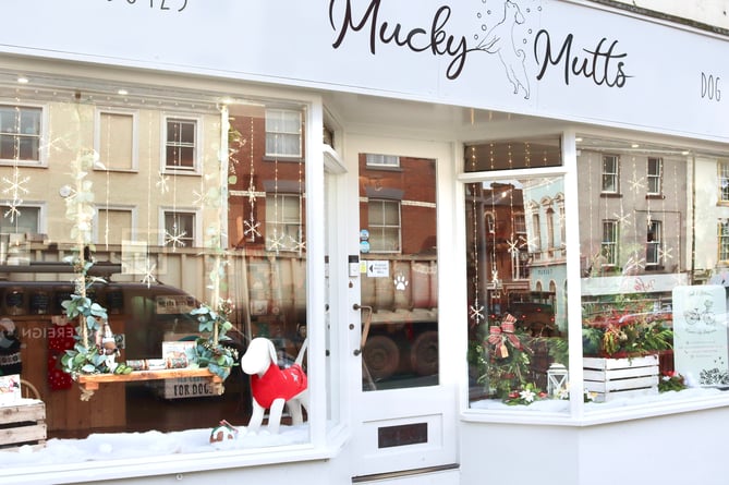 Mucky Mutts' festive window