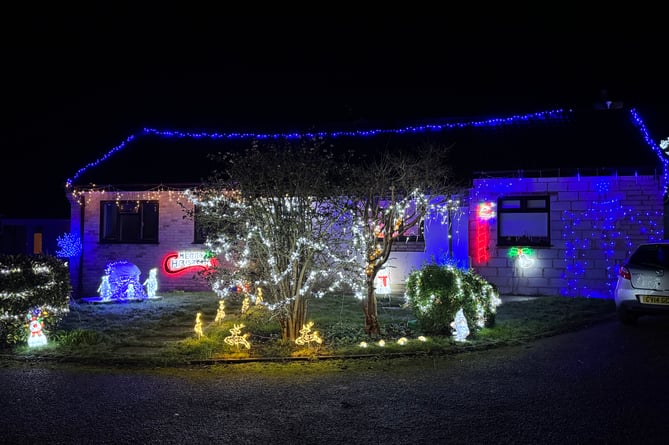 The first prizewinner in the Westernlea lights competition.  AQ 0872